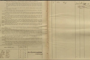 screenshot_2025-06-19_at_10-43-53_census_1910_klatovy_-_mesto_klattau_-_stadt_i__ctvrt_nr__88_porta_fontium.png