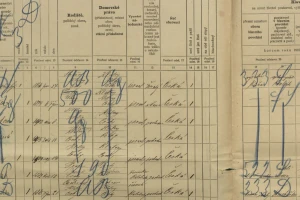 screenshot_2025-06-19_at_10-48-03_census_1910_klatovy_-_mesto_klattau_-_stadt_i__ctvrt_nr__88_porta_fontium.png