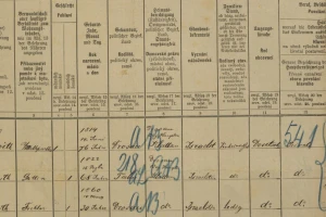 screenshot_2025-06-19_at_11-22-30_census_1890_klatovy_-_mesto_klattau_-_stadt_i__ctvrt_nr__88_porta_fontium.png